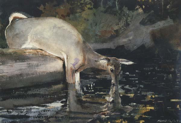 Winslow Homer Deer Drinking (mk44) oil painting picture